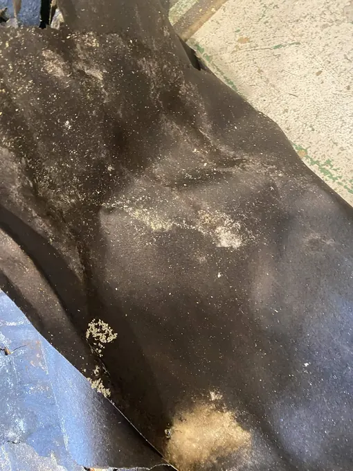 Détail du sol pendant les travaux